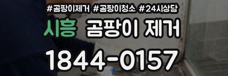 시흥 곰팡이 제거