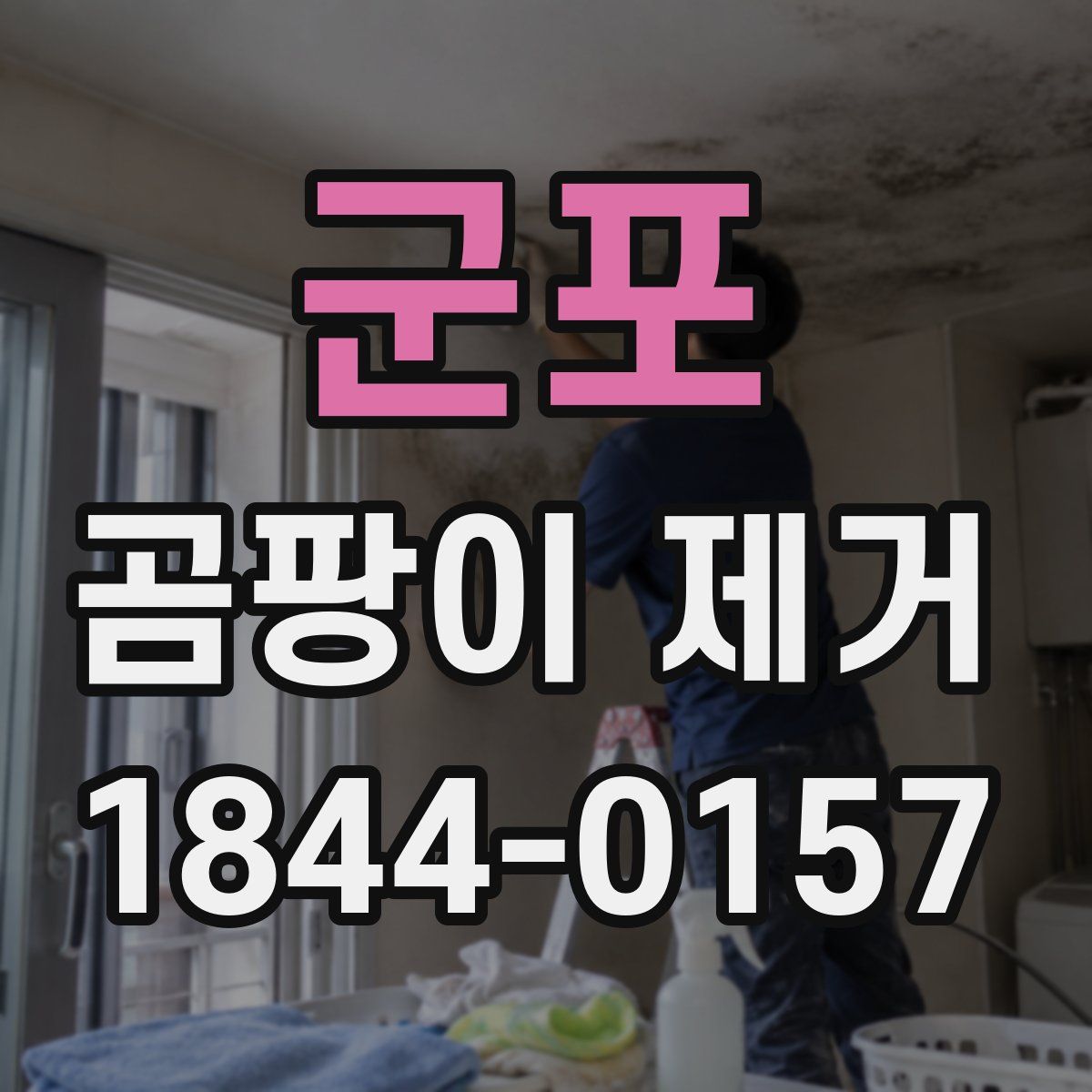 군포 곰팡이 제거