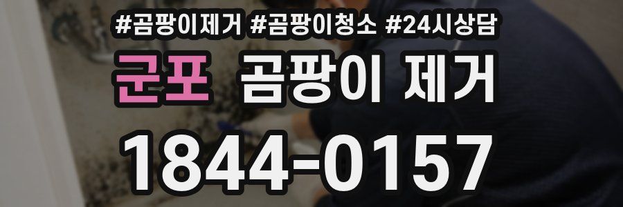 군포 곰팡이 제거