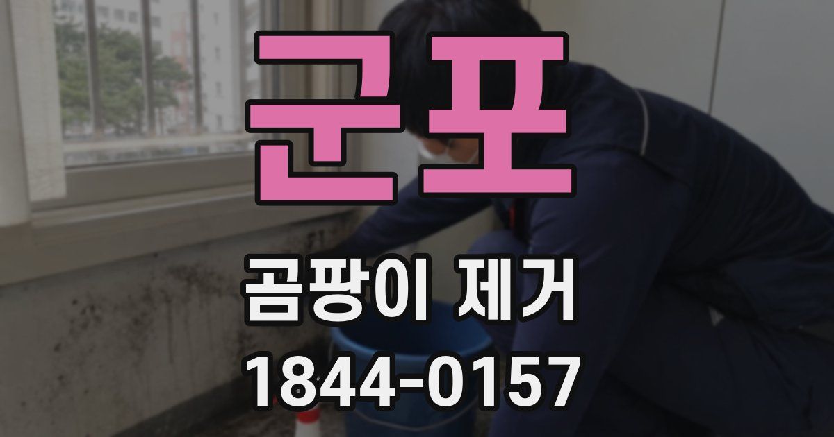 군포 곰팡이 제거