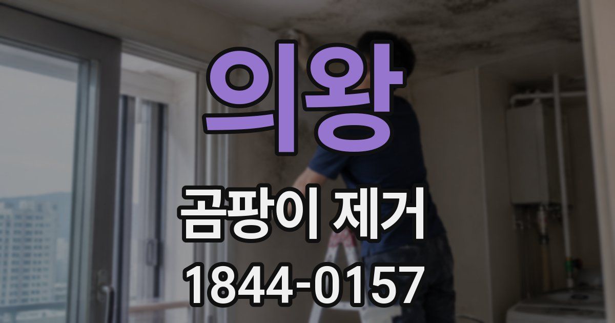 의왕 곰팡이 제거