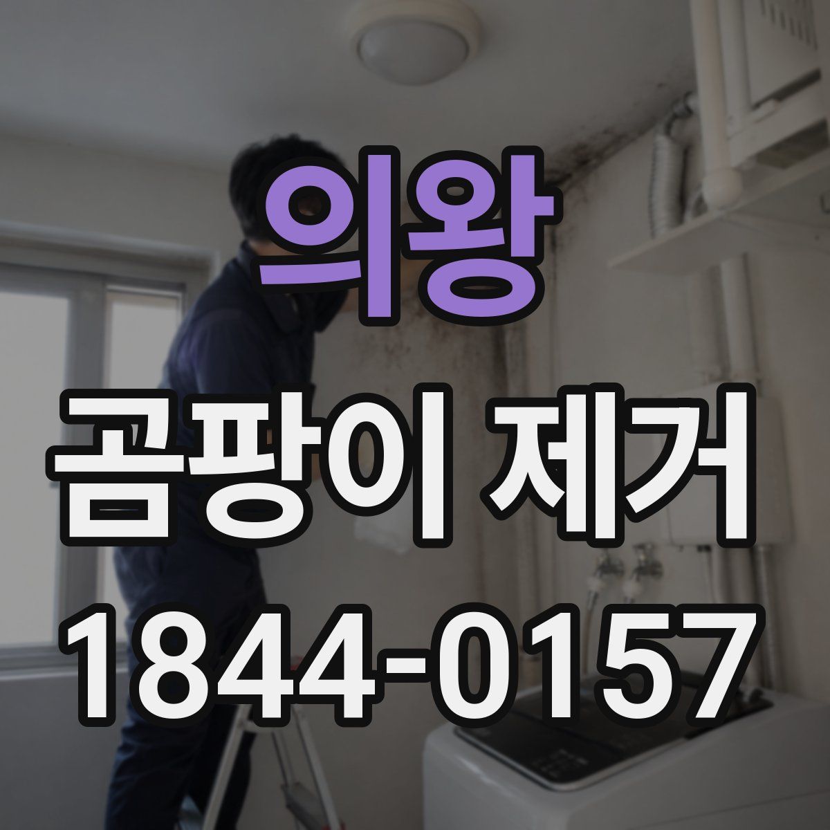 의왕 곰팡이 제거