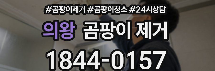 의왕 곰팡이 제거