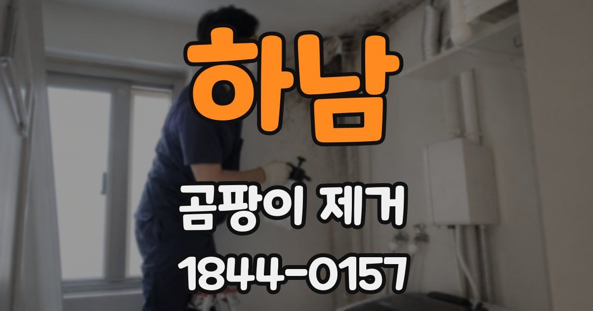 하남 곰팡이 제거