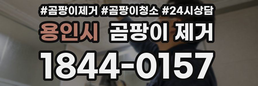 용인시 곰팡이 제거