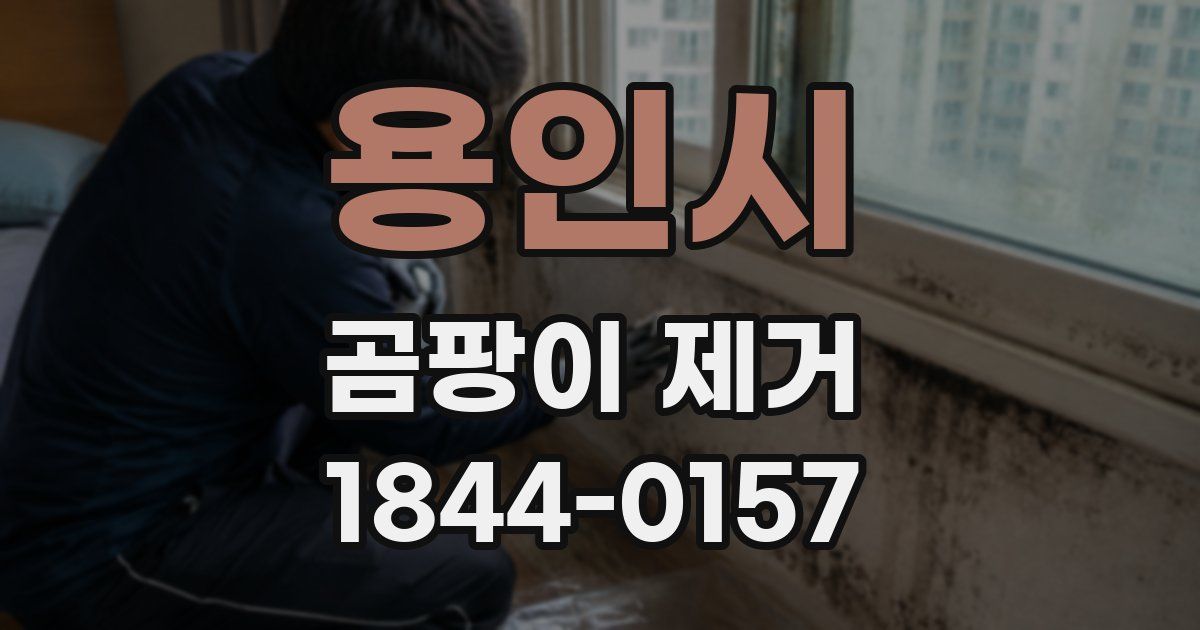 용인시 곰팡이 제거