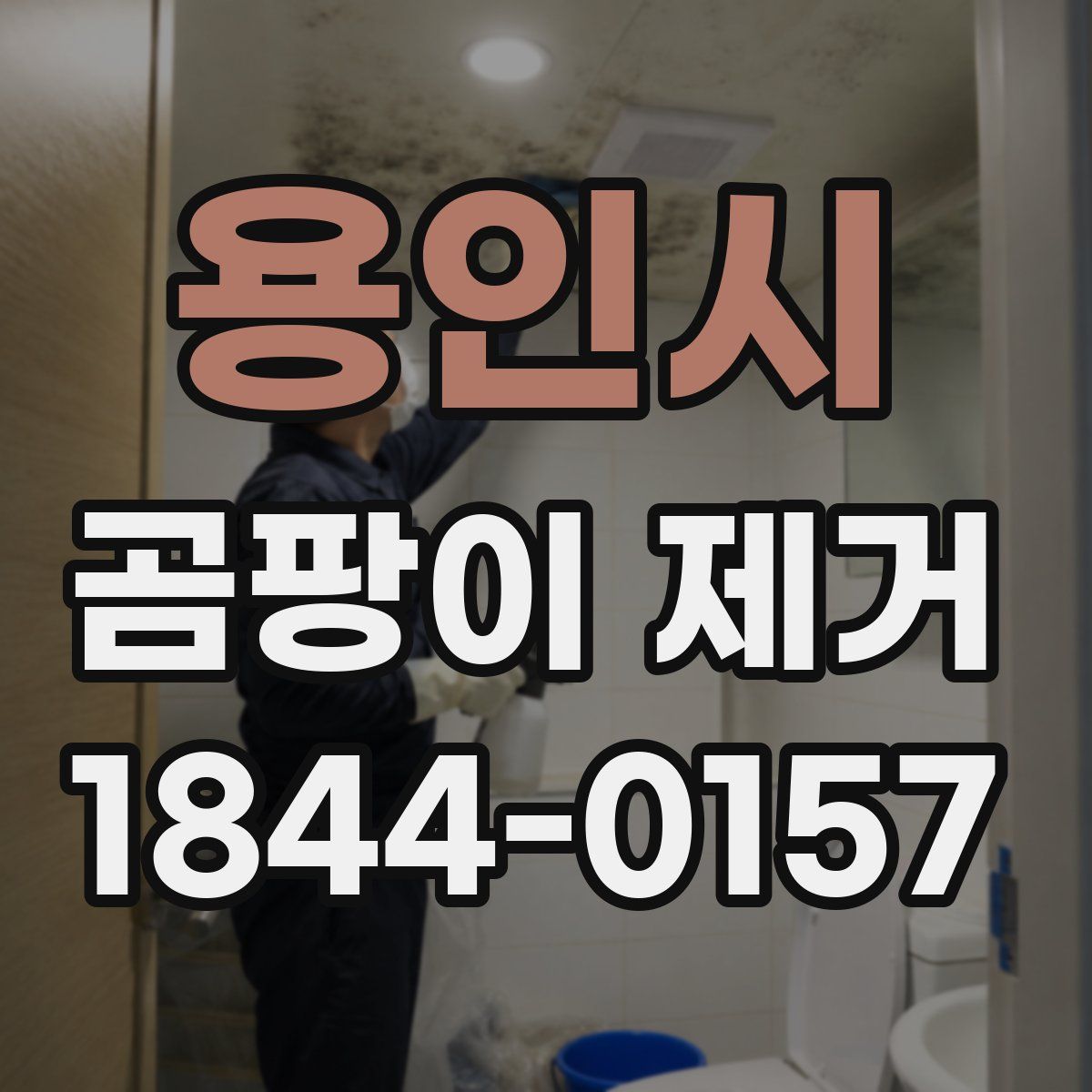 용인시 곰팡이 제거