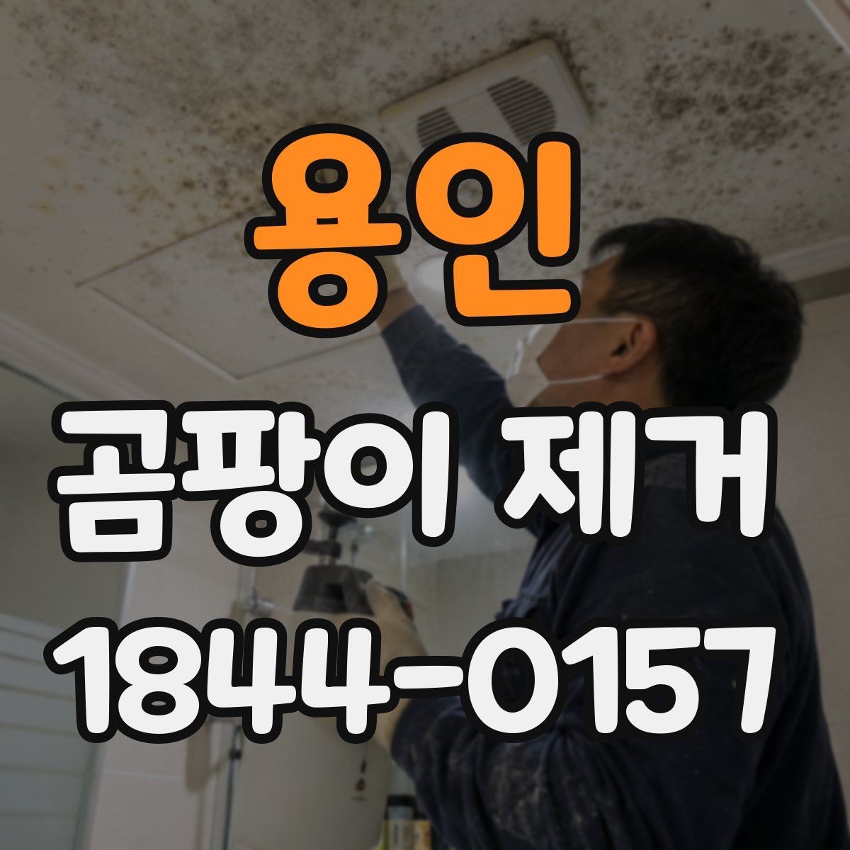 용인 곰팡이 제거 후 환기와 건조를 오래 유지하는 팁
