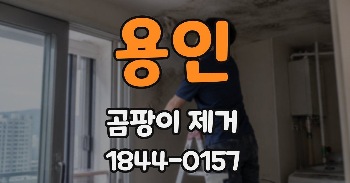 용인 곰팡이 제거