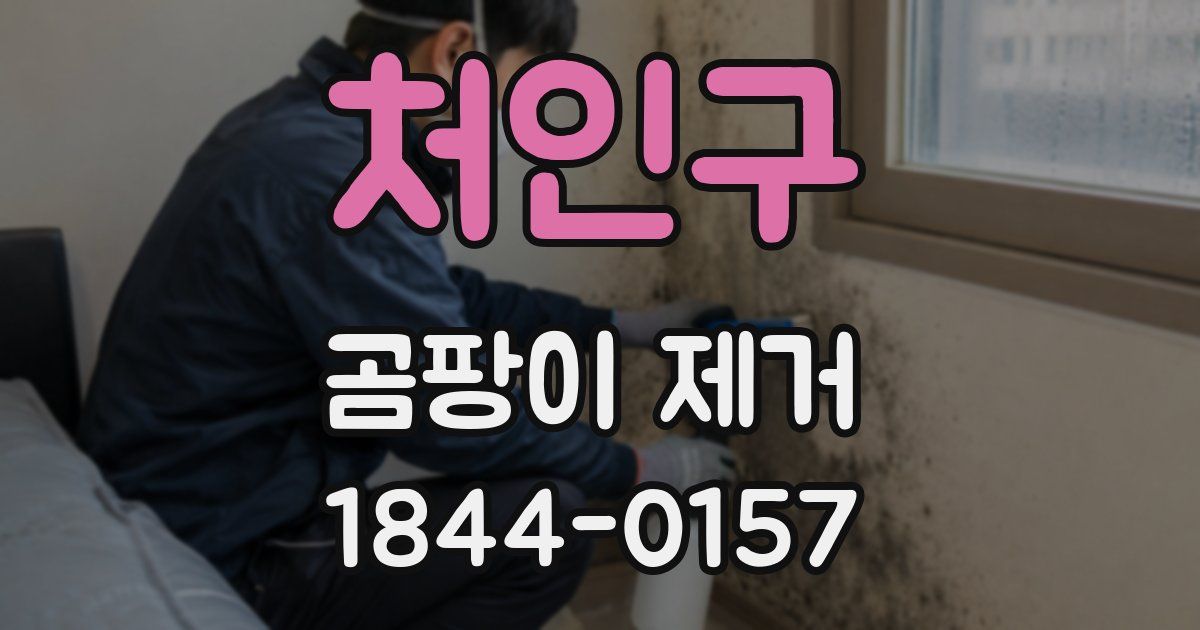처인구 곰팡이 제거