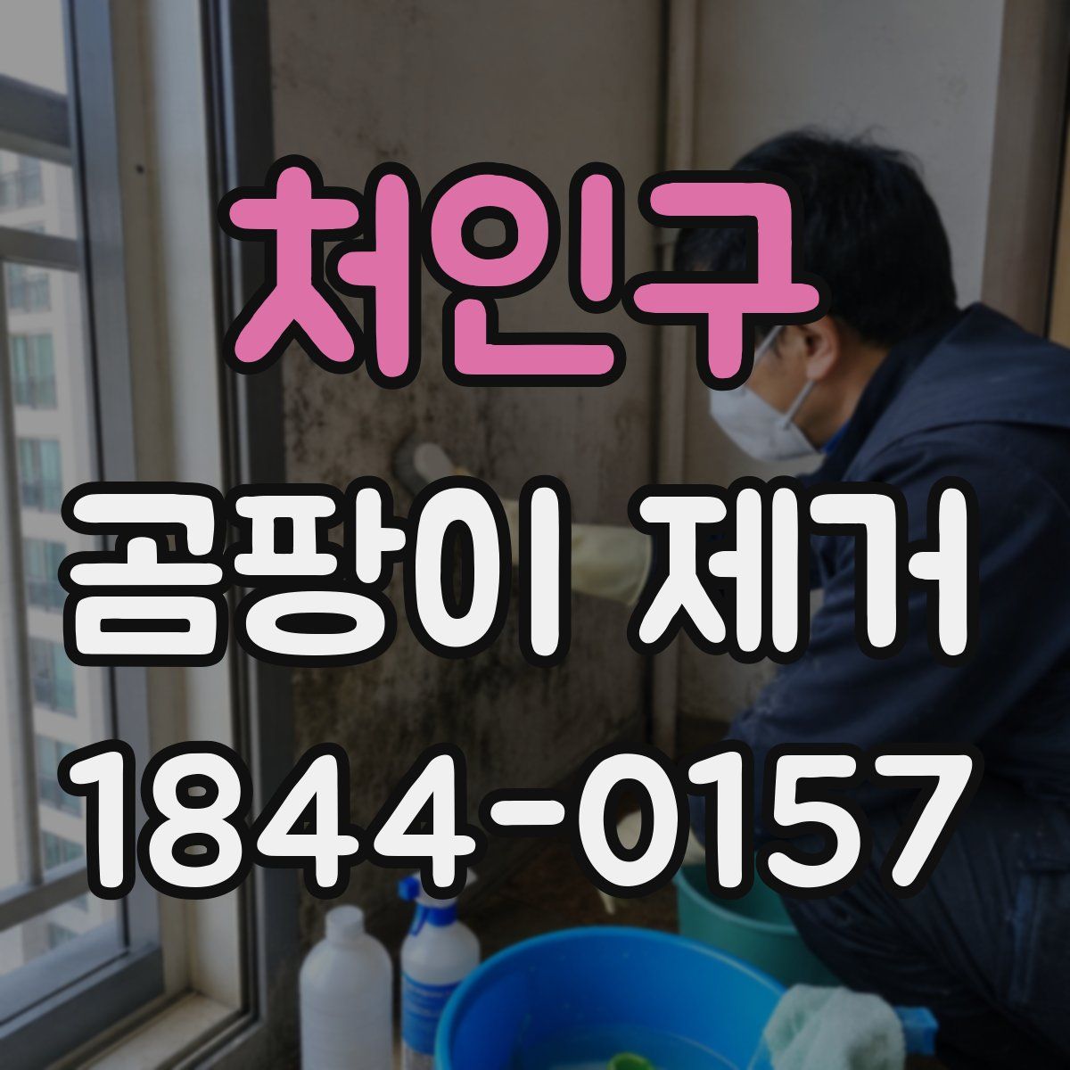 처인구 곰팡이 제거