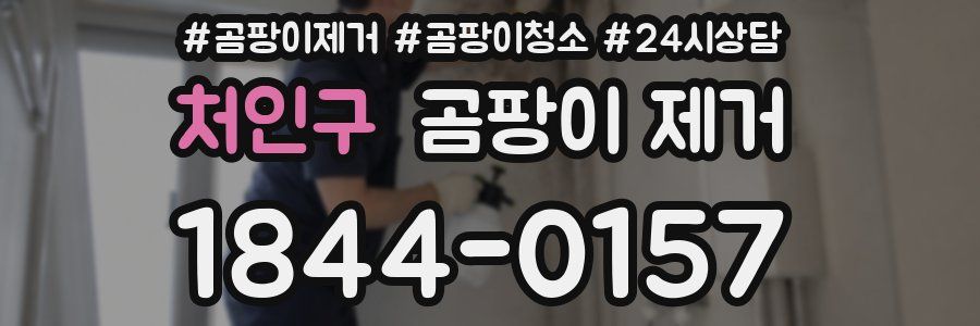 처인구 곰팡이 제거