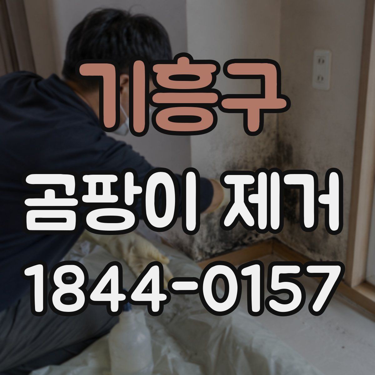 기흥구 곰팡이 제거 번진 범위에 따라 달라지는 작업 순서