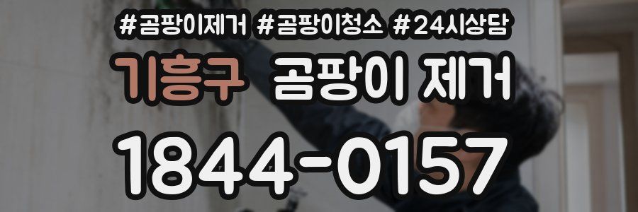 기흥구 곰팡이 제거