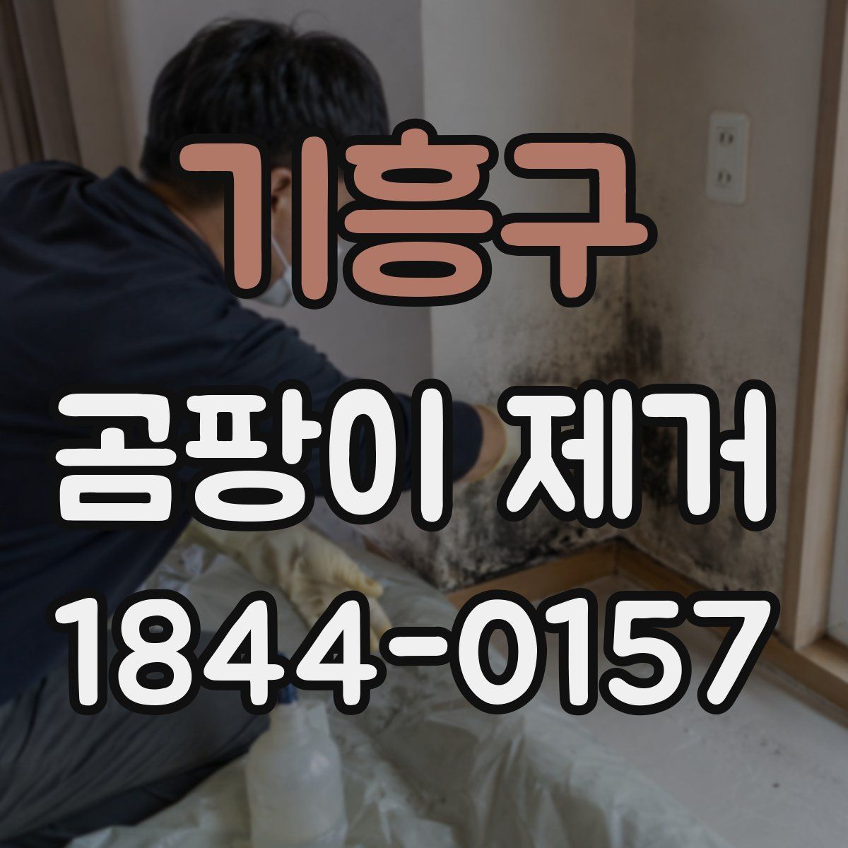 기흥구 곰팡이 제거