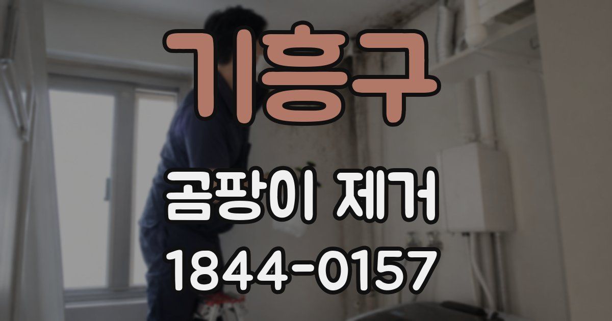 기흥구 곰팡이 제거
