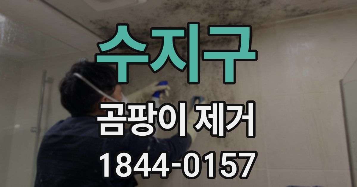 수지구 곰팡이 제거