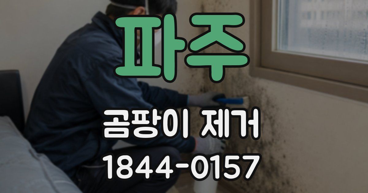 파주 곰팡이 제거