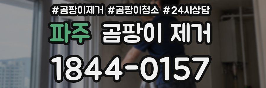 파주 곰팡이 제거