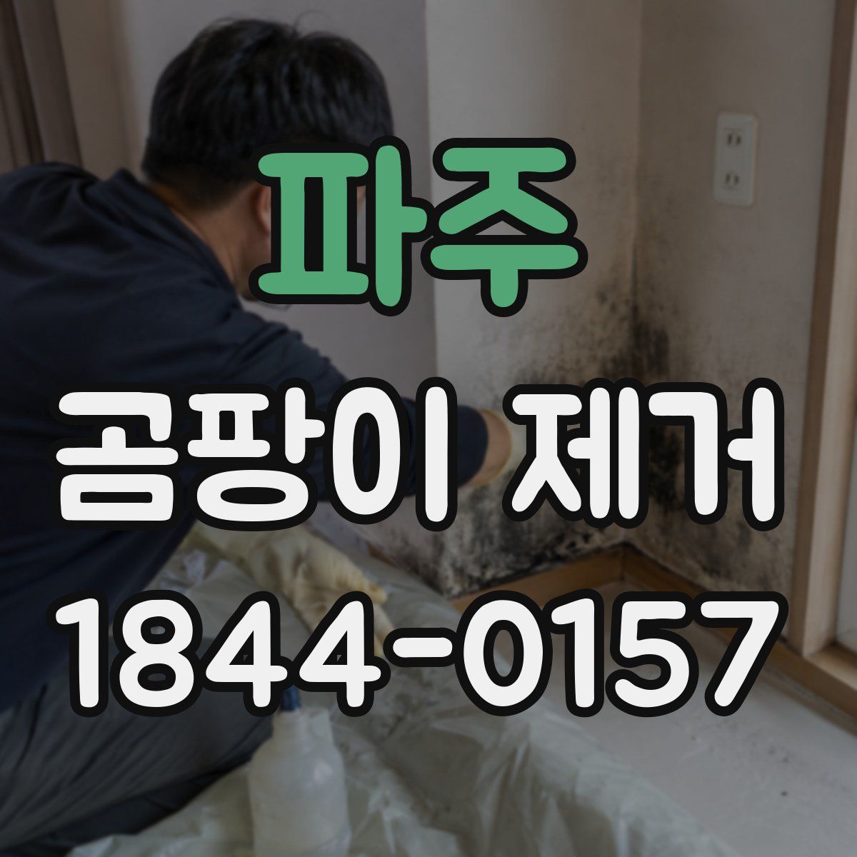 파주 곰팡이 제거