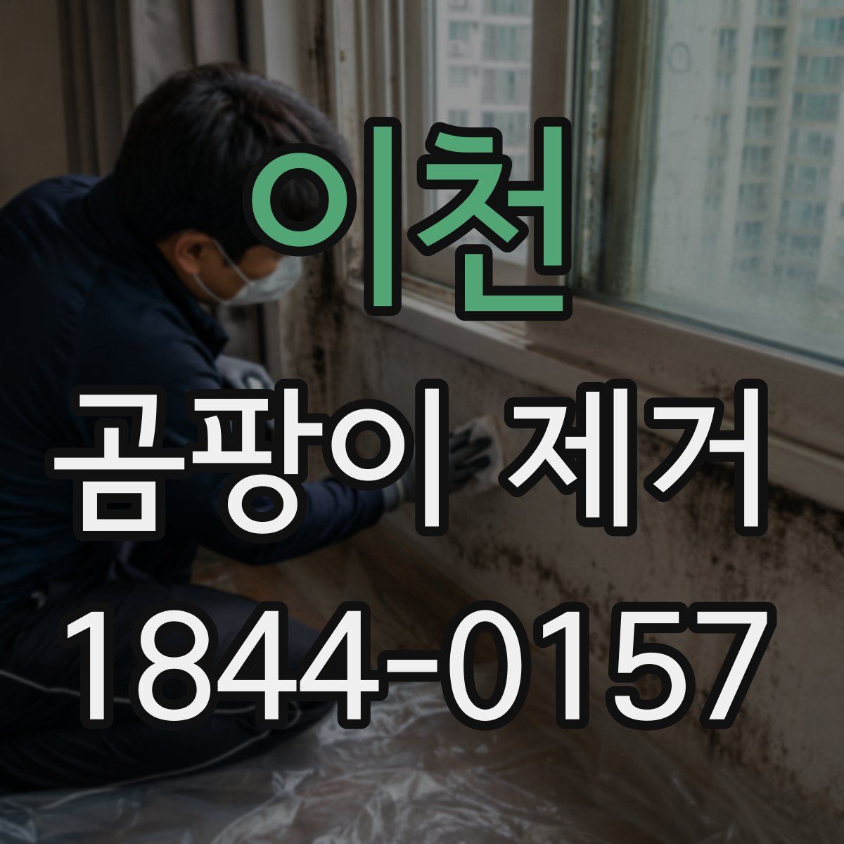 이천 곰팡이 제거