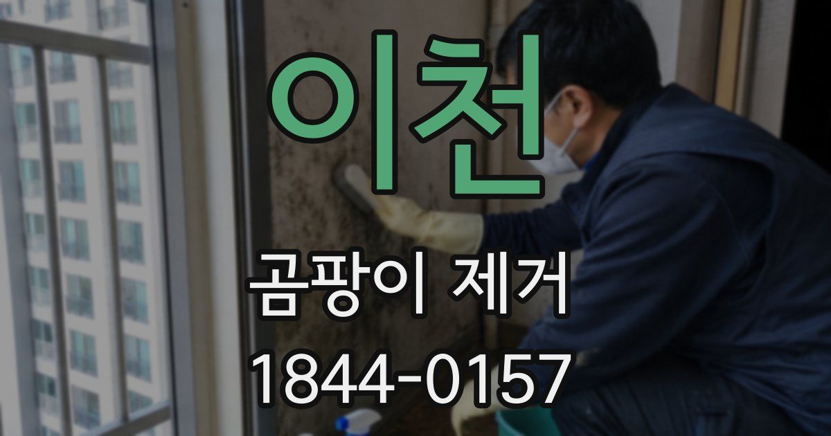이천 곰팡이 제거