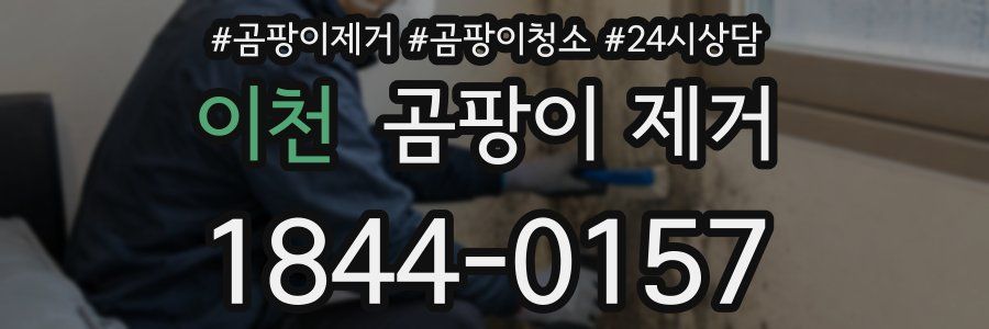 이천 곰팡이 제거