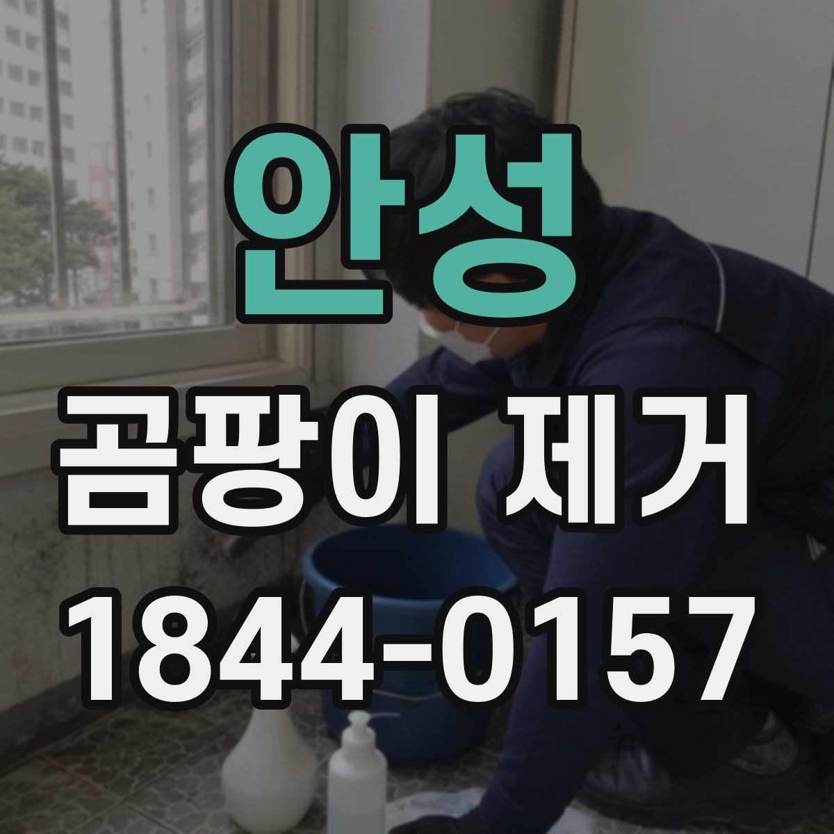 안성 곰팡이 제거 붙박이장 뒤편 습기까지 살펴보는 이유