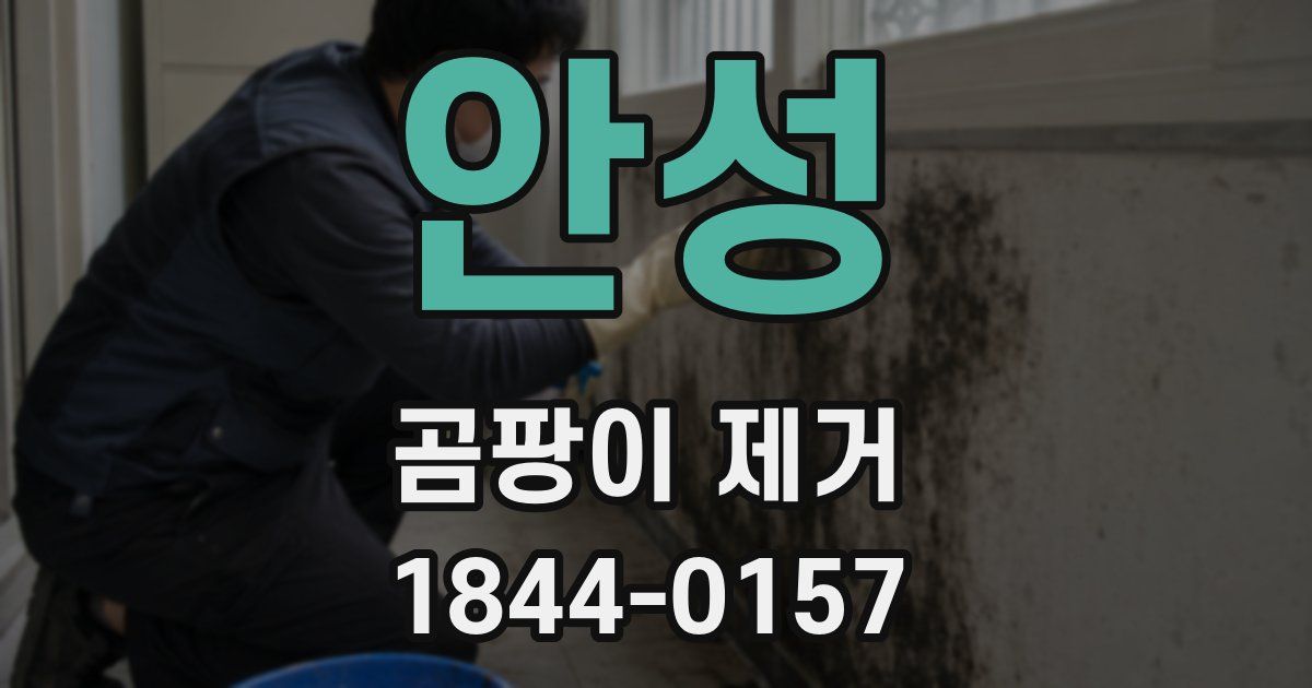안성 곰팡이 제거