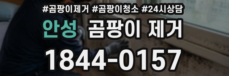 안성 곰팡이 제거