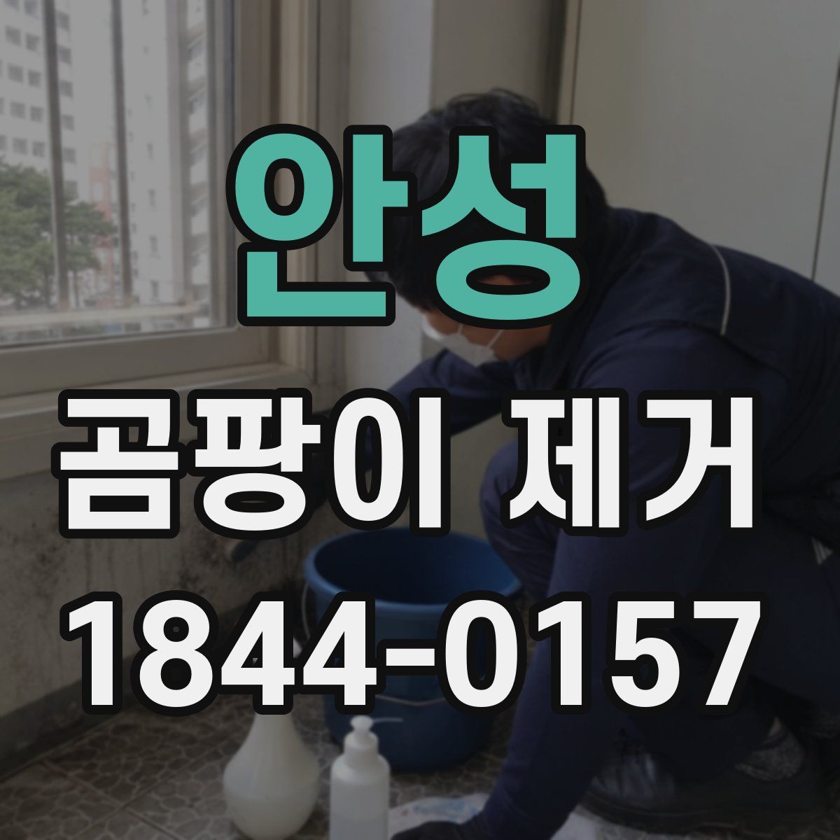 안성 곰팡이 제거