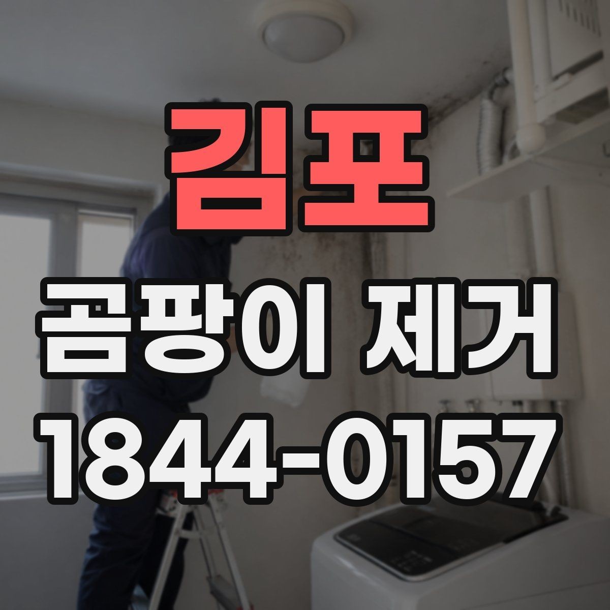 김포 곰팡이 제거 벽면 상태를 보며 청소 범위를 정하는 법
