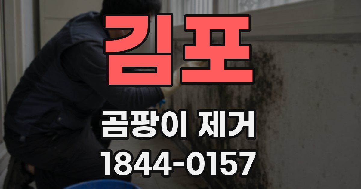 김포 곰팡이 제거