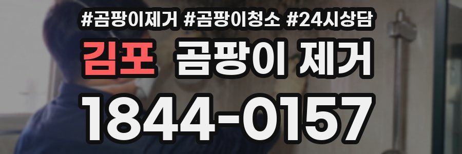 김포 곰팡이 제거