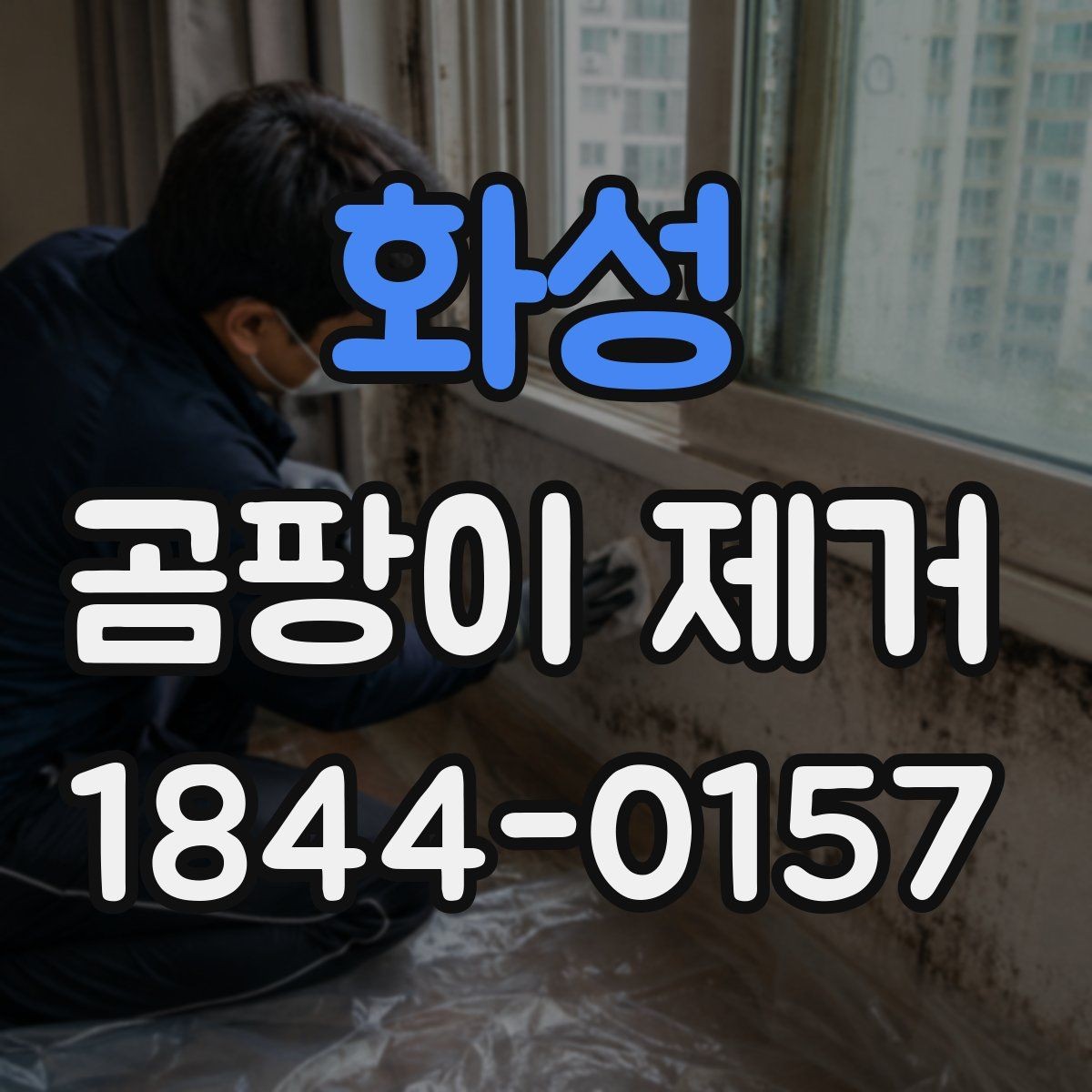 화성 곰팡이 제거 장마철 실내 습도 낮추는 관리법