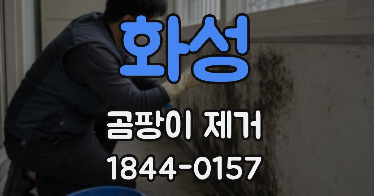 화성 곰팡이 제거