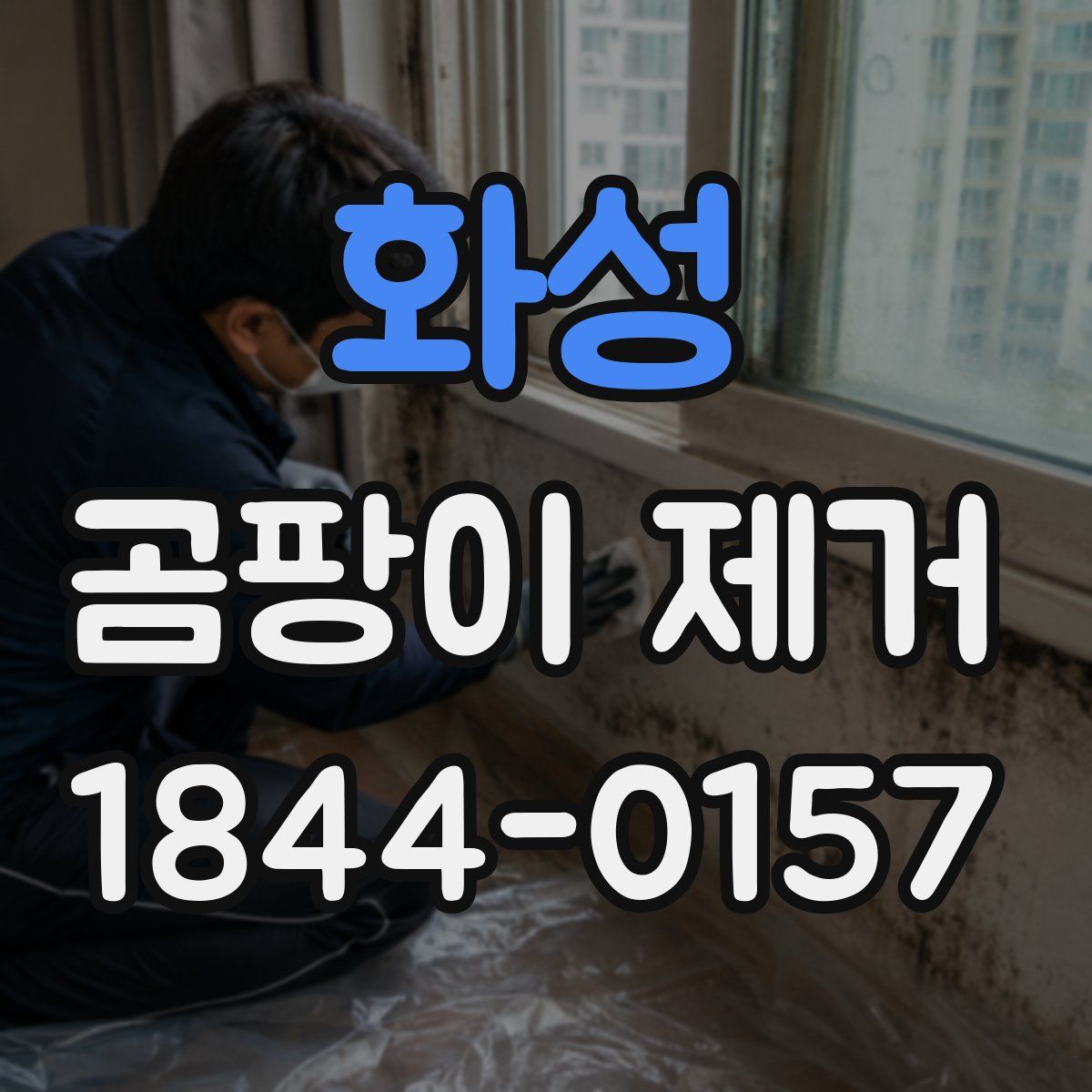 화성 곰팡이 제거