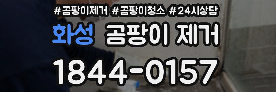 화성 곰팡이 제거