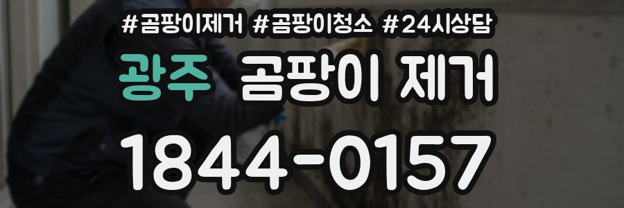 광주 곰팡이 제거