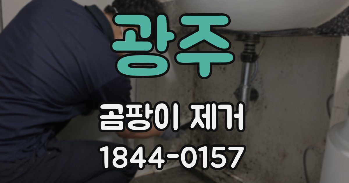 광주 곰팡이 제거