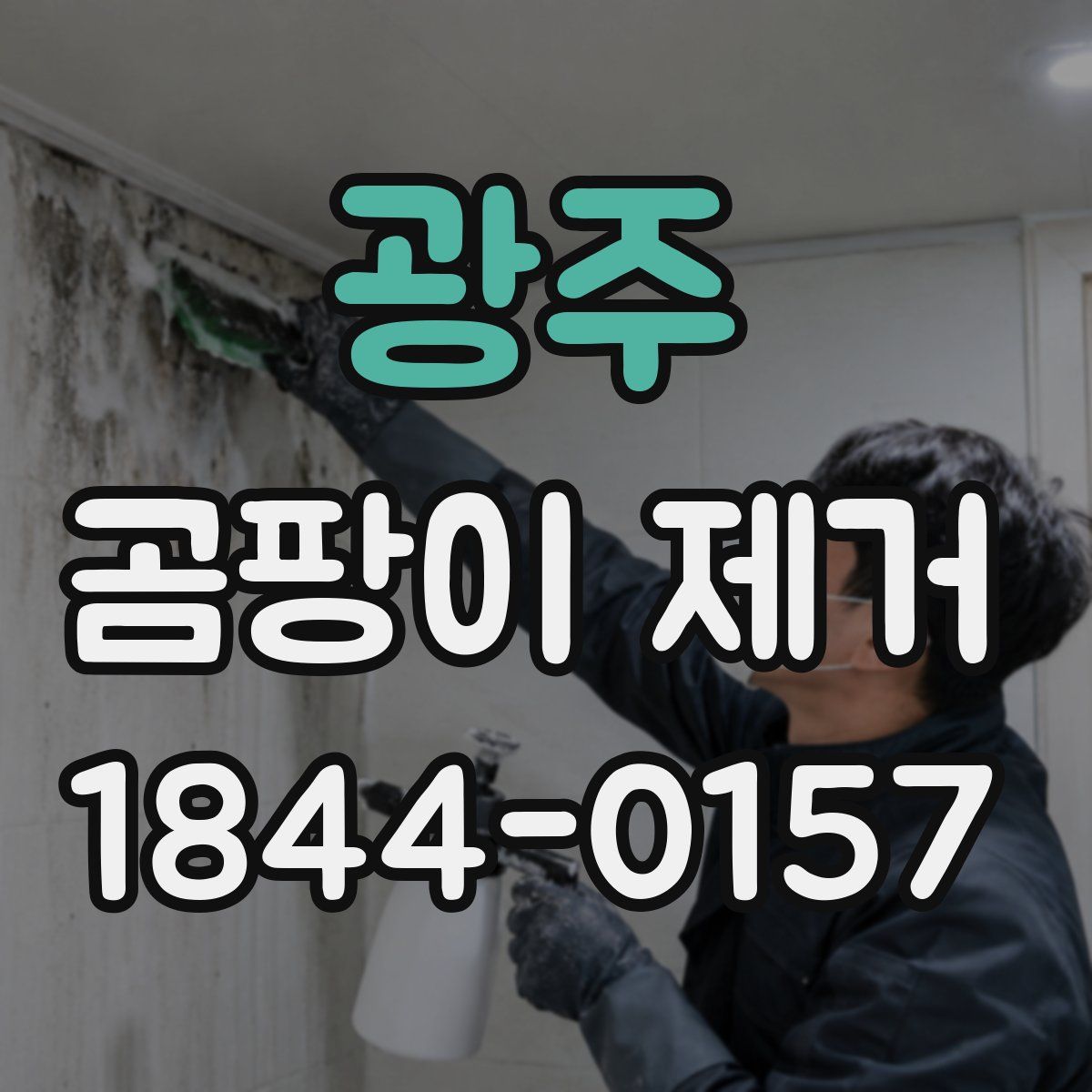 광주 곰팡이 제거