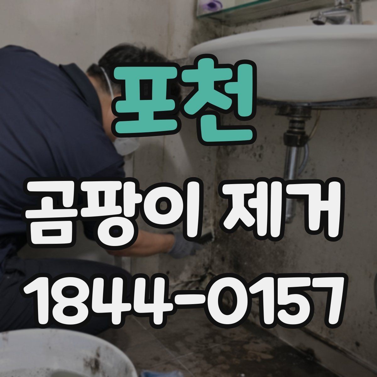 포천 곰팡이 제거 벽면 마감 손상 덜한 청소 순서