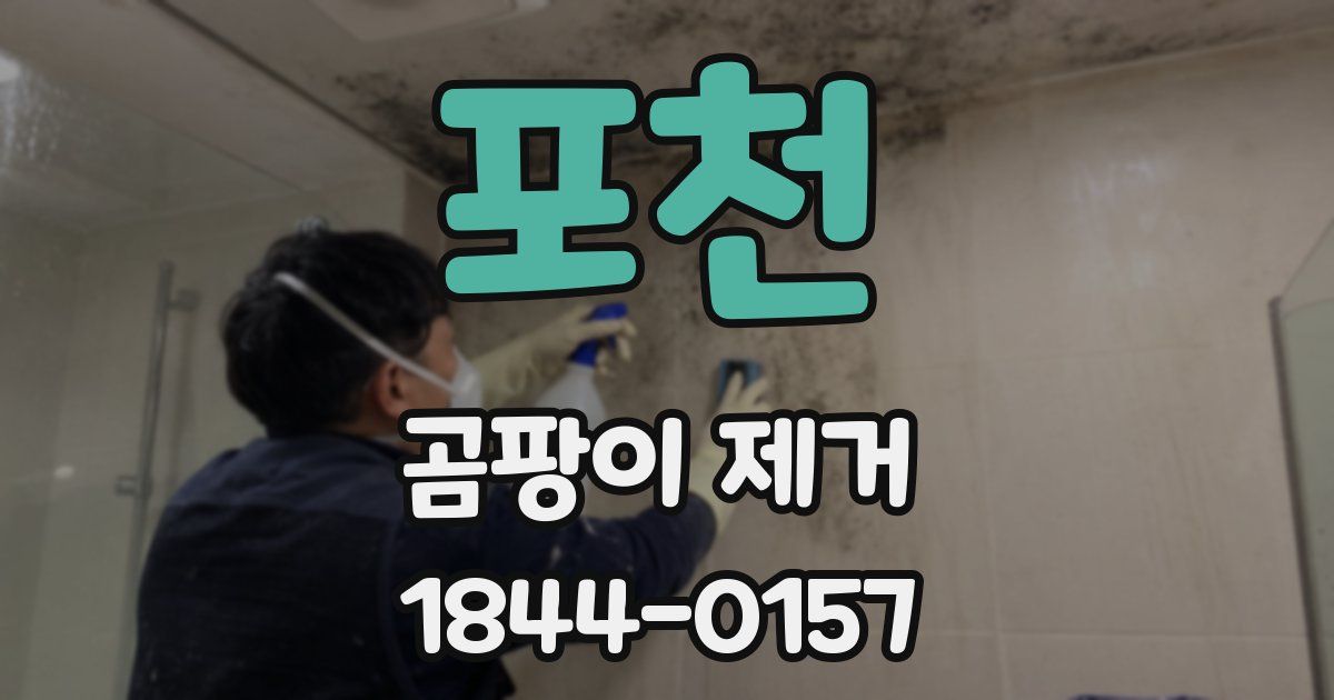 포천 곰팡이 제거