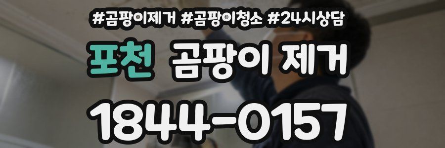 포천 곰팡이 제거