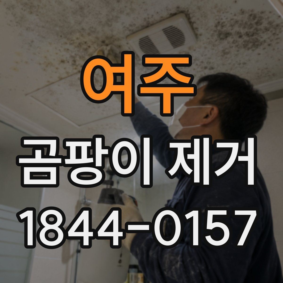 여주 곰팡이 제거 실내 냄새와 얼룩을 함께 정리하는 팁