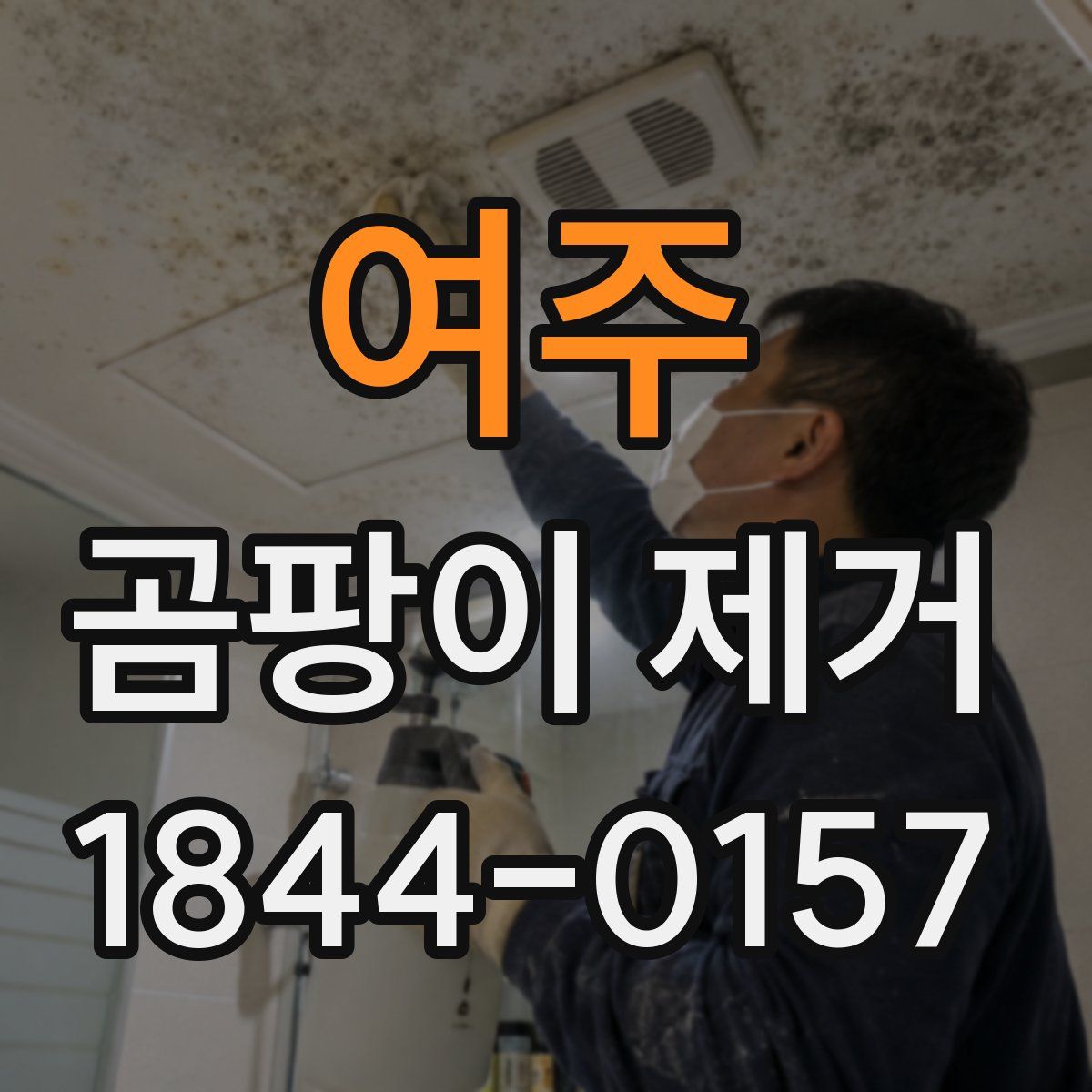 여주 곰팡이 제거