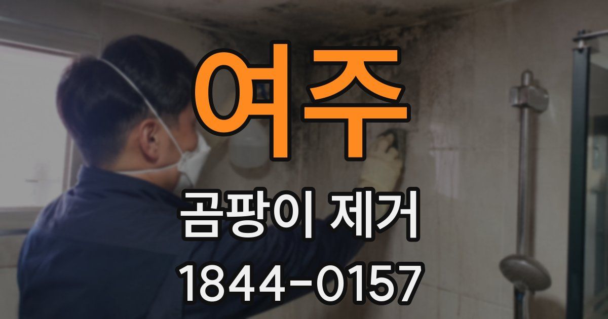 여주 곰팡이 제거