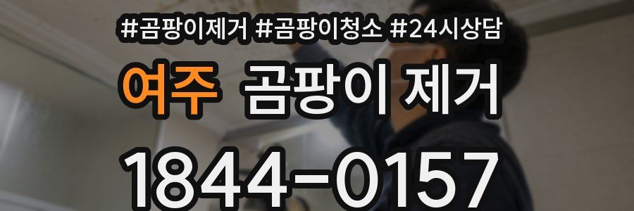 여주 곰팡이 제거