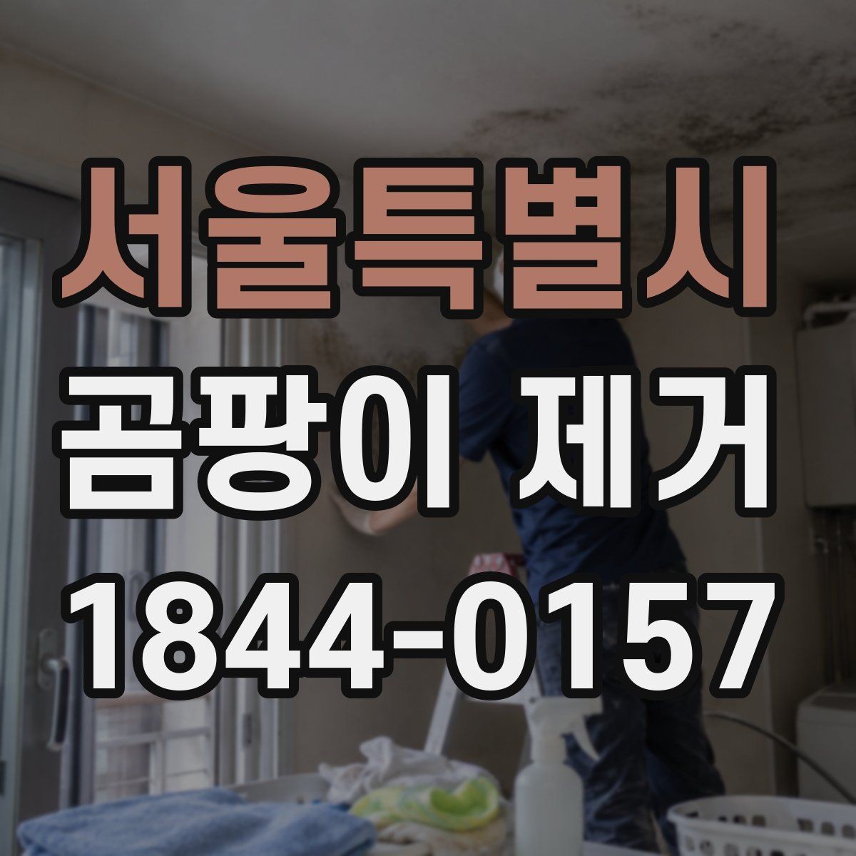 서울특별시 곰팡이 제거 붙박이장 뒤편 숨은 습기 살펴보기