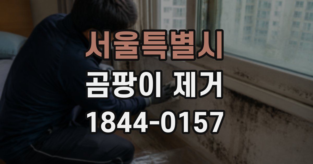 서울특별시 곰팡이 제거